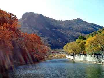 管家婆黑白马报图库，lumeimei